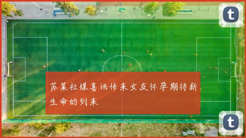 苏莱社媒喜讯传来女友怀孕期待新生命的到来